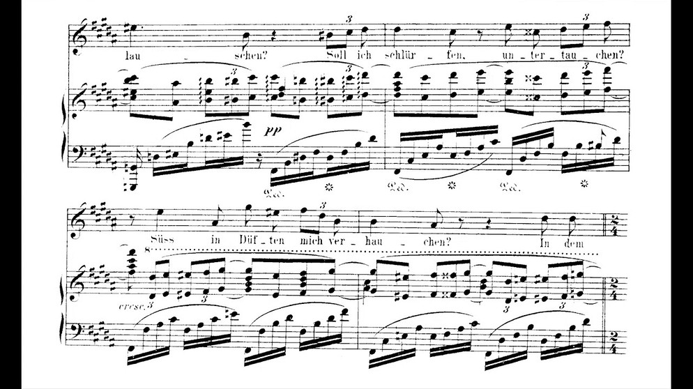 Mild und leise (Liebestod);  Tristan und Isolde; Martha Mödl (with score) | Bildquelle: A Classical Trove (via YouTube)