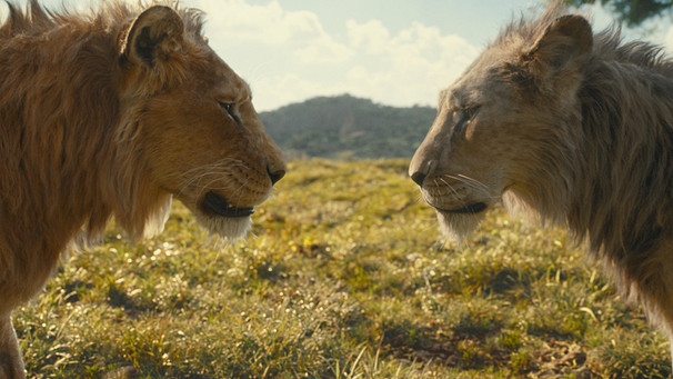 Mufasa (l) und Taka in einer Szene des Films «Mufasa: König der Löwen» (undatierte Filmszene). Der Film kommt am 19.12.2024 in die deutschen Kinos. (zu dpa Kinostarts) Foto: -/Disney/dpa - ACHTUNG: Nur zur redaktionellen Verwendung bis zum 18.03.2025 im Zusammenhang mit einer Berichterstattung über den Film und nur mit vollständiger Nennung des vorstehenden Credits +++ dpa-Bildfunk +++ | Bild: dpa-Bildfunk/-