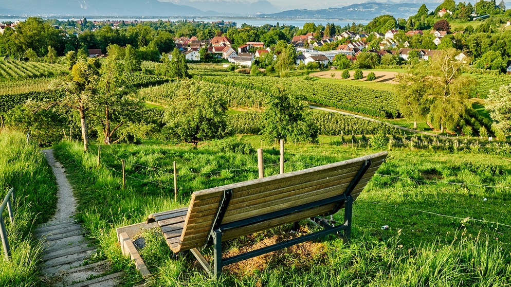 Lindau erblüht - Segelboote fahren hinter einem Pavillon der kleinen Gartenschau auf dem Bodensee | Bildquelle: echt-bodensee.de