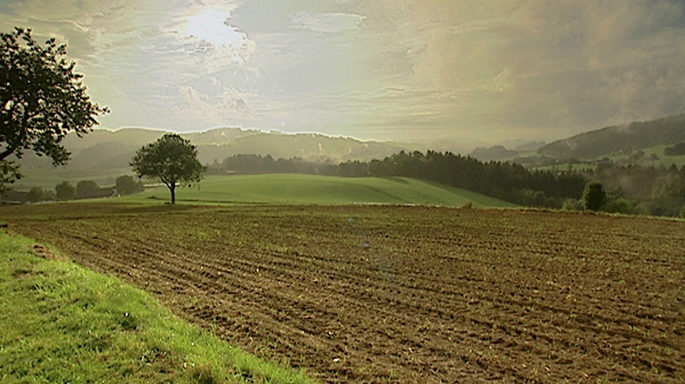 Das Mühlviertel zeichnet sich durch eine hügelige Landschaft aus, die abwechselnd mit Wäldern und Feldern durchzogen ist. | Bildquelle: BR