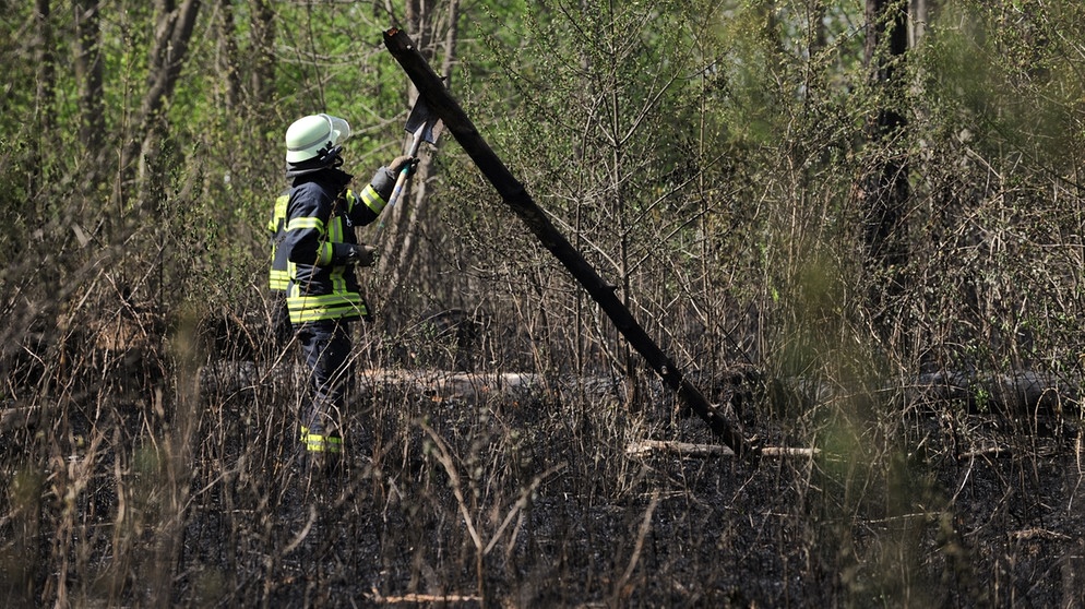 waldbrand | Bildquelle: picture-alliance/dpa