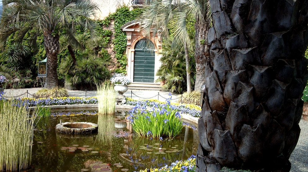 Die Brissago-Inseln im Lago Maggiore sind der Botanische Garten des Kantons Tessin/Schweiz. Der Garten bietet einen faszinierenden Einblick in die subtropische Pflanzenwelt. | Bildquelle: BR/Norbert Göttler