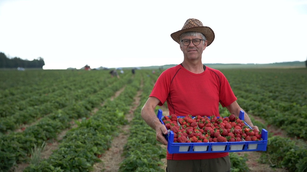 Landwirt Jakob Meier fürchtet um seine Ernte. | Bildquelle: BR/Ralph Zipperlen