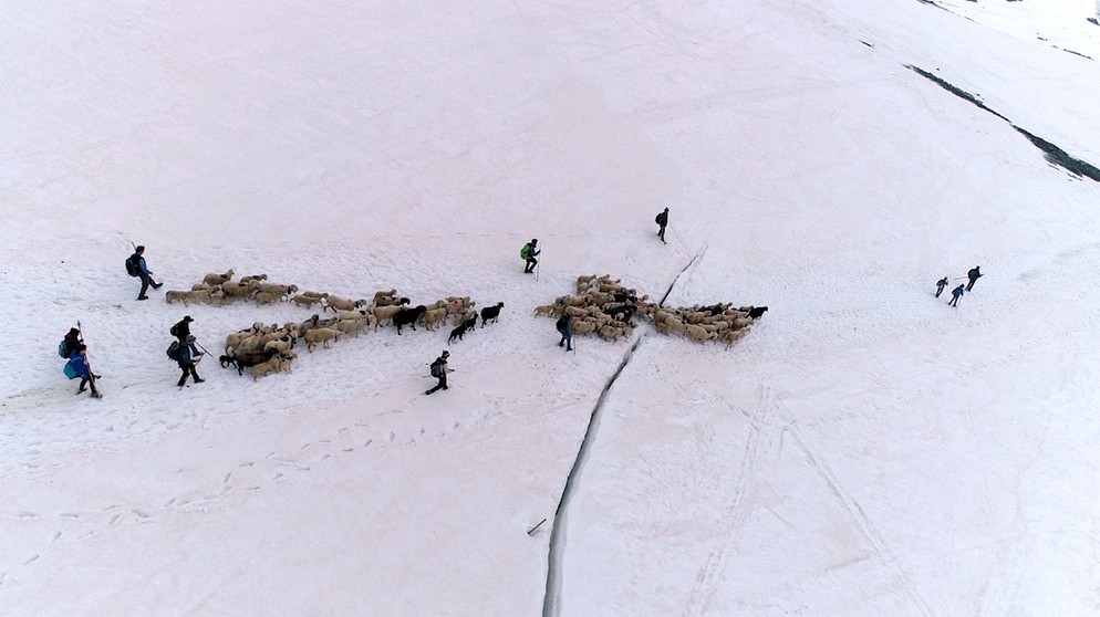 Im Ötztal - Es ist ein alljährliches Spektakel auf dreitausend Metern Seehöhe: Tausende Schafe überqueren am Beginn der Weidesaison die Ötztaler Alpen und werden aus Südtirol kommend auf die Ötztaler Weidegebiete getrieben. Im Herbst geht es dann wieder zurück. Für die Tiere und auch für die Menschen ist es eine anstrengende und gefährliche Wanderung, die auch über Gletscher führt. Im Bild: Similaun. | Bildquelle: ORF/Pammer Film/Wolfgang Niedermair