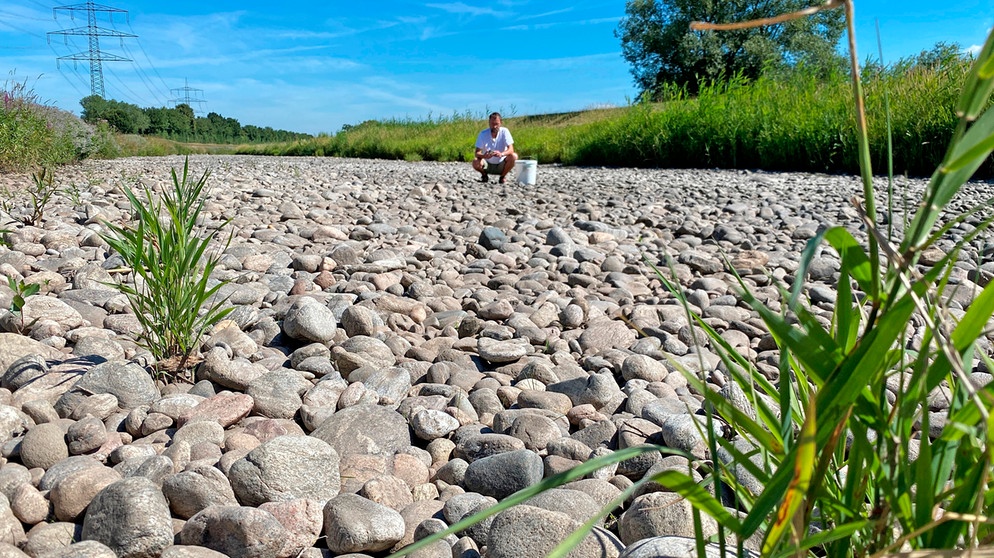 Wasserknappheit in Deutschland lässt die Natur austrocknen | Bildquelle: BR/SWR/Jasmin Bergmann