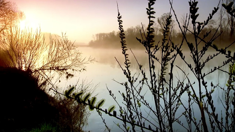 Frühling in Schwaben | Bildquelle: BR