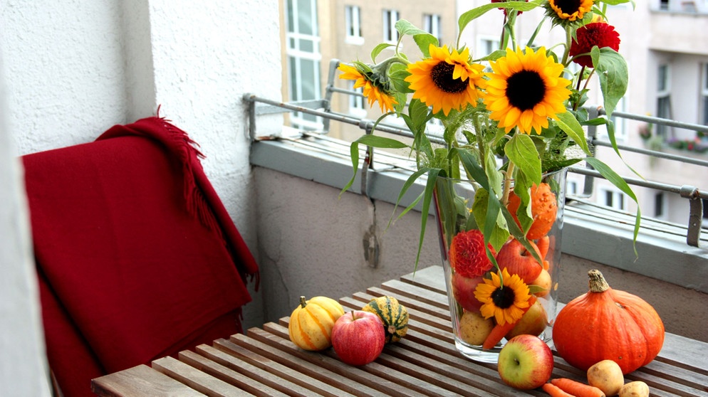 Verschiedene Gemüsesorten mit Sonnenblume in einer Vase | Bildquelle: Picture alliance/dpa