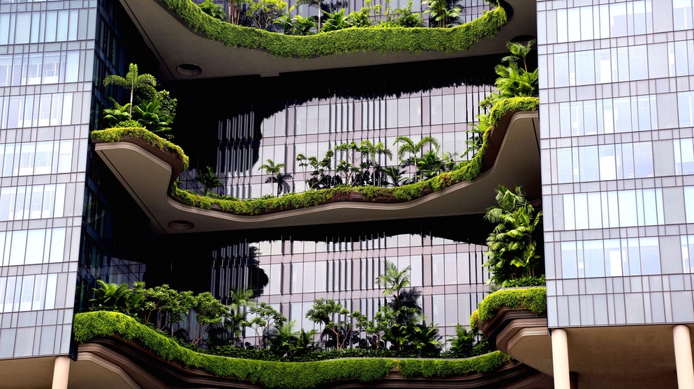 Hotel in Singapur | Bildquelle: Picture alliance/dpa