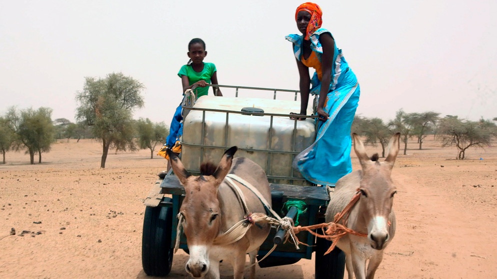 Wasser holen mit dem Eselskarren im Senegal: Das ist extrem zeitaufwändig und weltweit Aufgabe meist von Mädchen und Frauen. | Bildquelle: BR/Radio Bremen/Sonam Rinzin