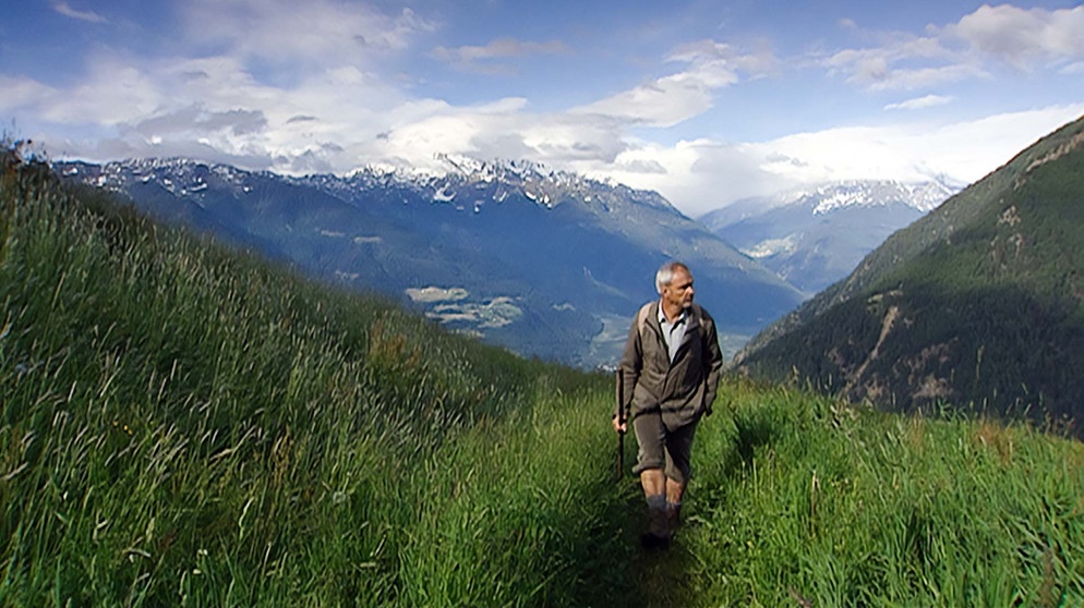 Die Wanderung ins Herz der Meraner Berge beginnt am Naturnser Sonnenberg und führt von dort durch das Pfossental bis zur Stettiner Hütte unter dem Gipfel der Hohen Wilde. Im Bild: Josef Schwellensattl unterwegs. | Bildquelle: BR