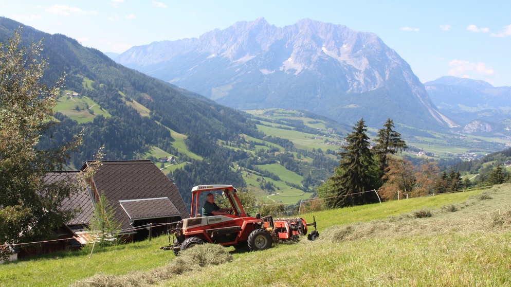 Heuarbeit auf den steilen Hängen des Bergbauernhofes von Peter Luidold. | Bildquelle: BR/Bernhard Wohlfahrter