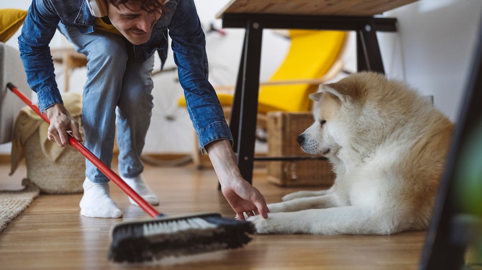 Symbolbild Urlaub gegen Hand: Mann mit Besen und daneben ein Hund | Bildquelle: picture alliance / Westend61 / Aida López