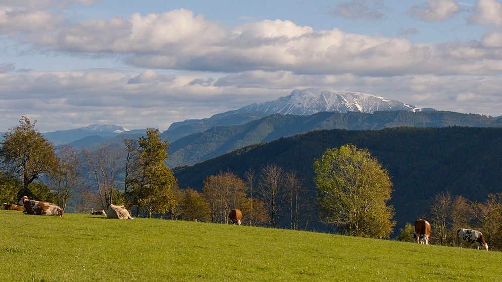 Rund um den Ötscher: Weithin sichtbar ragt der fast 1900 Meter hohe Ötscher aus den Ybbstaler Alpen hervor. | Bildquelle: BR