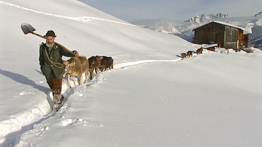 Hansueli Rupp, im Hintergrund Silvretta/Montafon | Bildquelle: BR