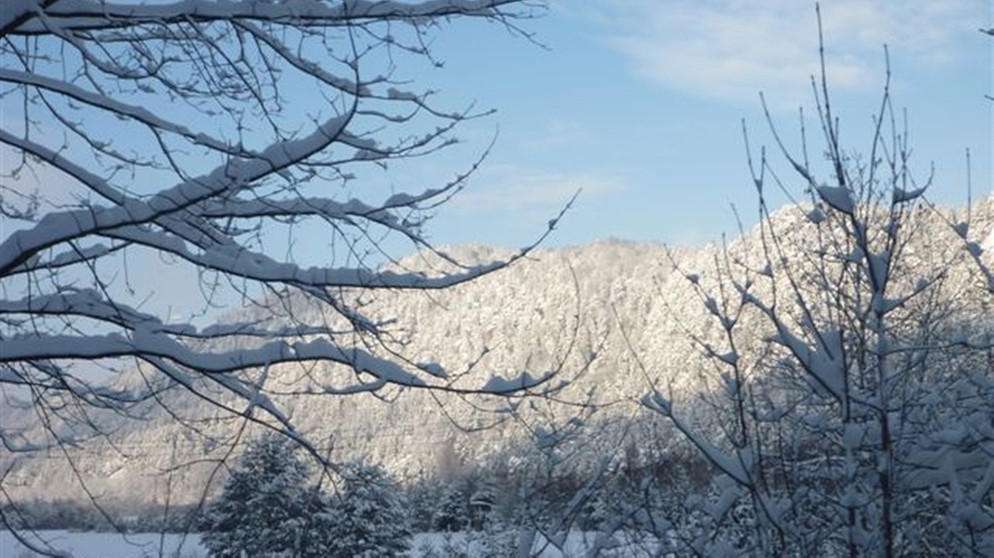 Winterlandschaften bei Pfronten. | Bildquelle: BR/Dr. Michael Zehetmair