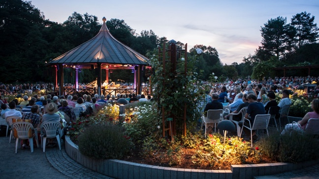 Konzertkritik Avishai Cohen In Augsburg Glanz Im Glashaus