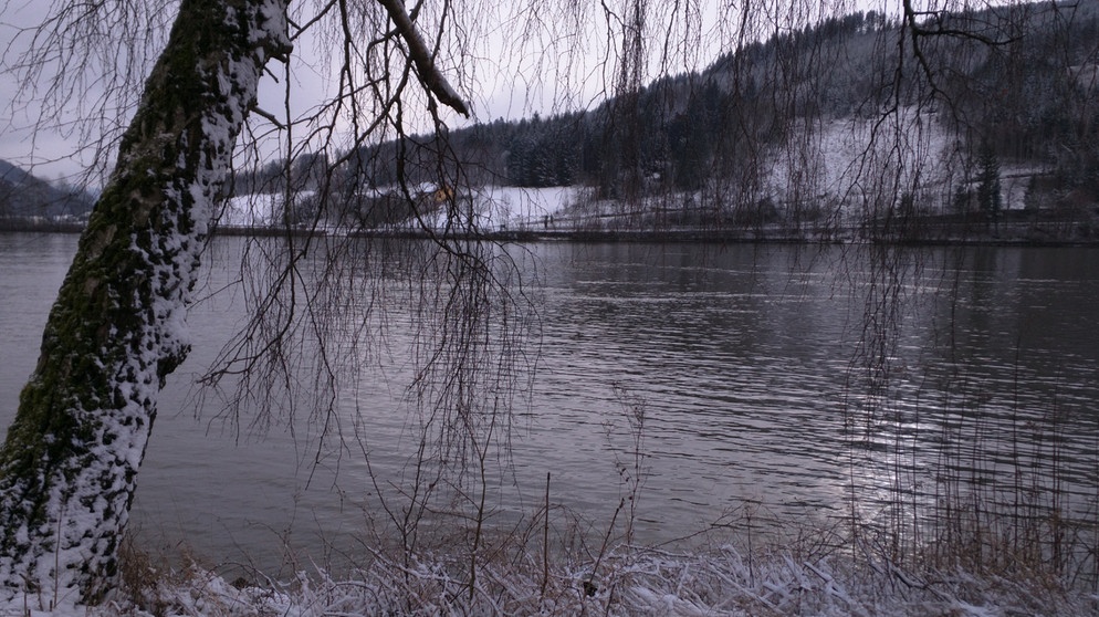 Winterliche Donaulandschaft | Bildquelle: BR